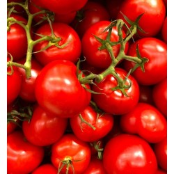 Buy online tomato powder